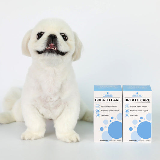 Dr. BY Breath Series is a vet-approved supplement that helps pets with coughing and respiratory issues using natural, science-backed ingredients like TF-343, propolis, and chlorella for better lung health.