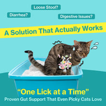 Doctor By Cat Biome Cat Probiotics - Digestive & Gut Support for Cats, Diarrhea Relief, Immunity Booster