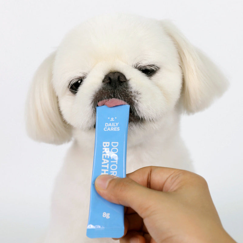 Dr. BY’s lickable supplement turns nutrition into a joyful bonding experience, making it easy for pets to enjoy their supplements while strengthening their connection with you. 