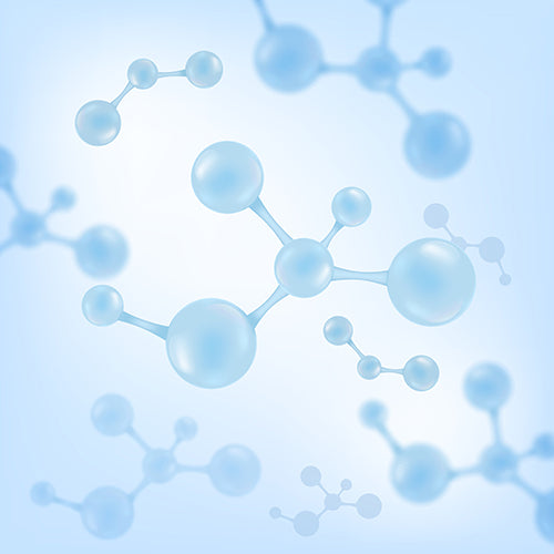 A patented plant-based extract that reduces inflammation and protects respiratory health from pollutants.