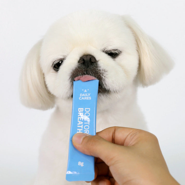 Premium Gel-Type Supplement for Dog Breath Health