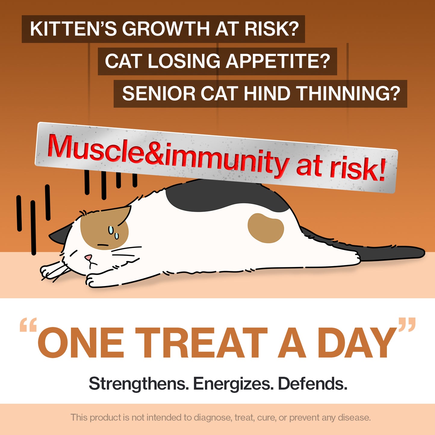 Doctor By Cat Colostrum Protein Cat Supplement Immune Support Muscle Growth