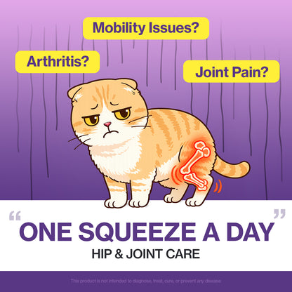 Doctor By HJ Care Cat Joint Supplement Hip&Joint Care Glucosamine for Cats