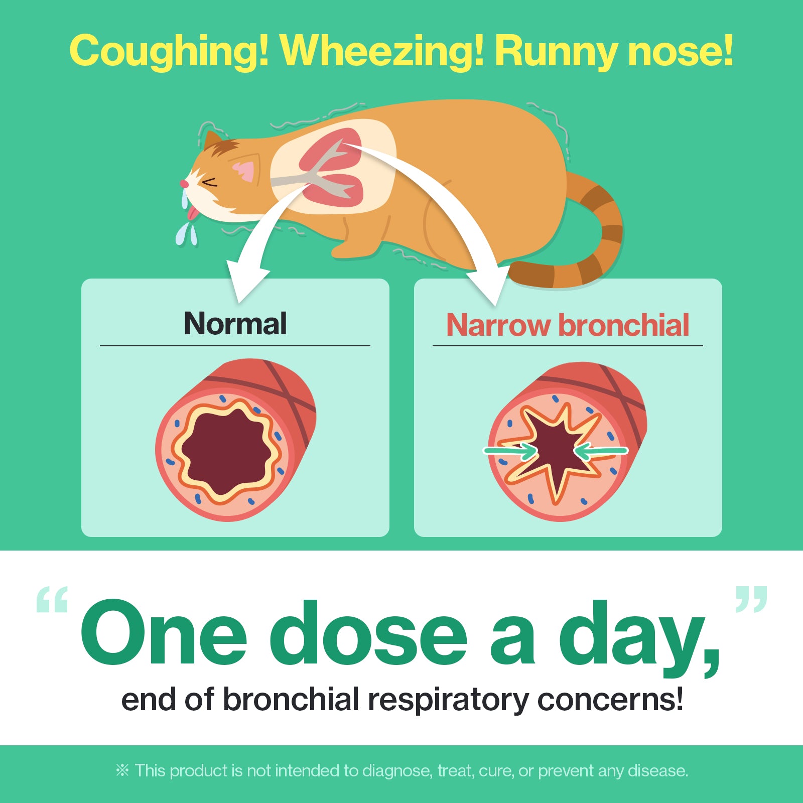 A daily dose of Dr. BY Cat Breath helps alleviate coughing, wheezing, and runny noses by supporting bronchial and respiratory health in cats.