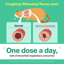 A daily dose of Dr. BY Cat Breath helps alleviate coughing, wheezing, and runny noses by supporting bronchial and respiratory health in cats.