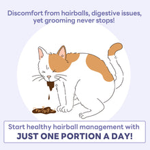 Dr. BY HB Care helps manage hairballs and digestive issues in cats with just one daily portion.
