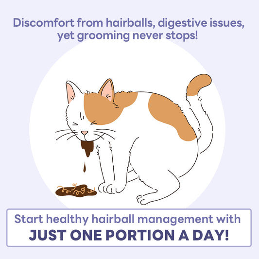 Dr. BY HB Care helps manage hairballs and digestive issues in cats with just one daily portion.