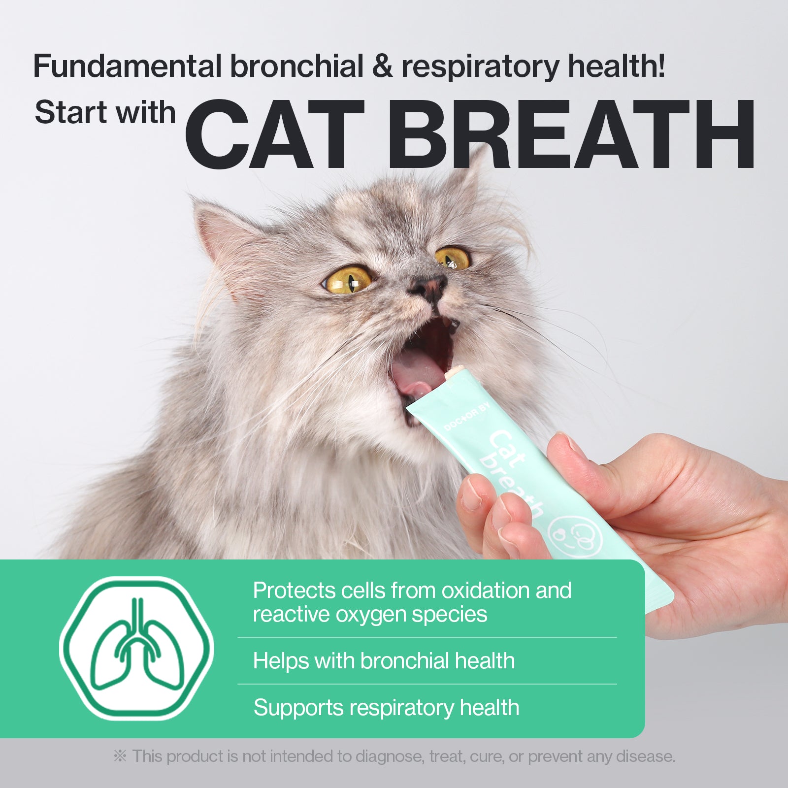Dr. BY Cat Breath supports bronchial and respiratory health in cats, protecting cells from oxidation and promoting easier breathing.