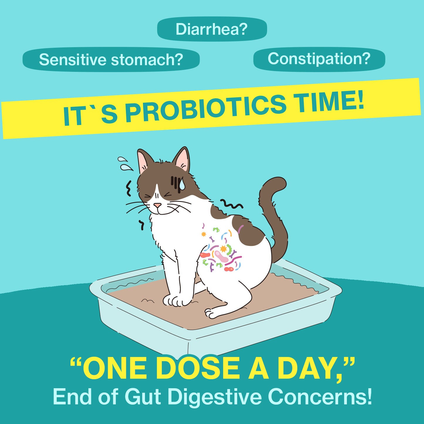 Doctor By Cat Biome Cat Probiotics - Digestive & Gut Support for Cats, Diarrhea Relief, Immunity Booster