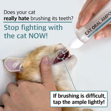 Dr.BY Cat Oral Ample offers an easy, stress-free solution for cat dental care, helping to reduce plaque and bad breath without the need for brushing.