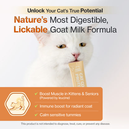 Doctor By Cat Colostrum Protein Cat Supplement Immune Support Muscle Growth