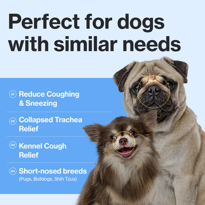 Doctor By Breath Care Bronchial Supplements for Dogs