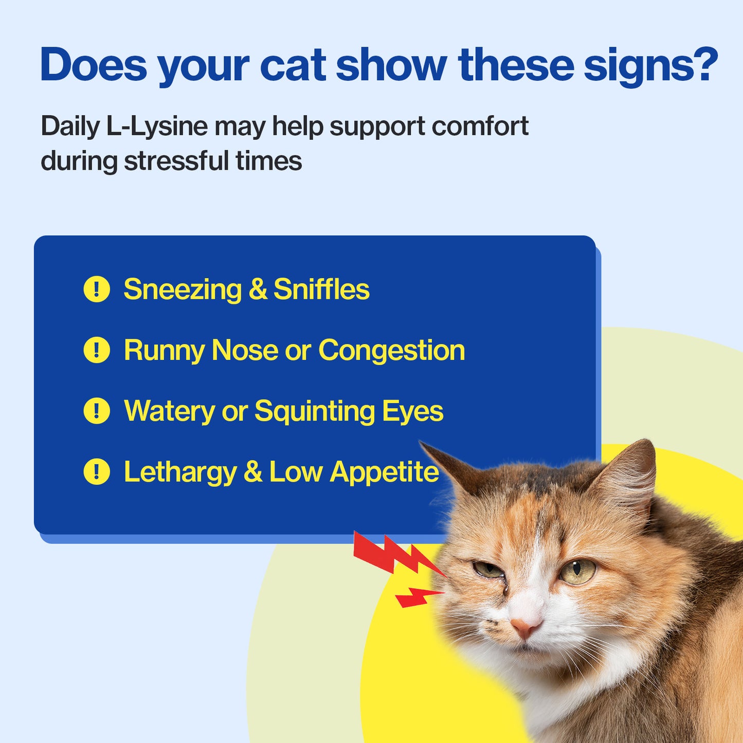 Doctor By FELYSIN L-lysine for Cats Lysine Supplements