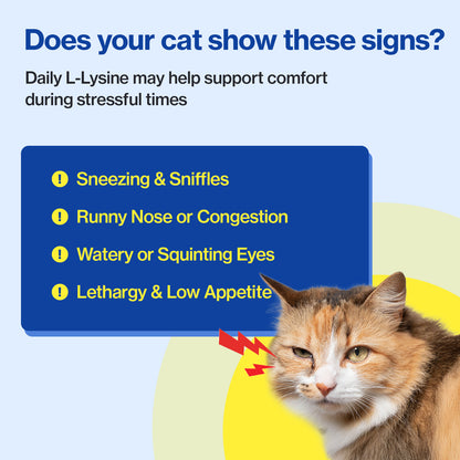 Doctor By FELYSIN L-lysine for Cats Lysine Supplements