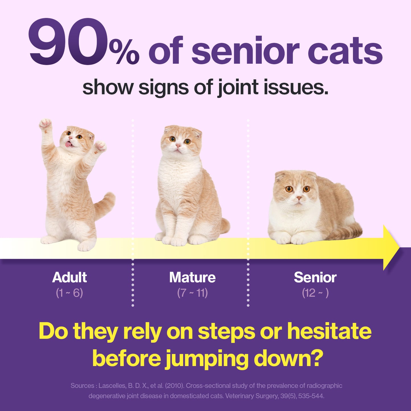 Doctor By HJ Care Cat Joint Supplement Hip&Joint Care Glucosamine for Cats