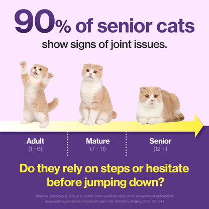 Doctor By HJ Care Cat Joint Supplement Hip&Joint Care Glucosamine for Cats