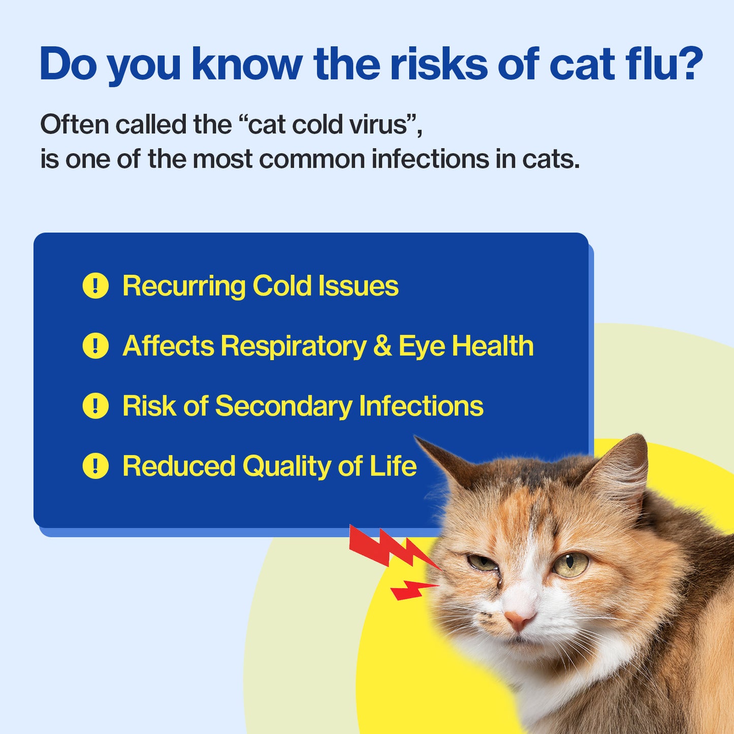 Doctor By FELYSIN L-lysine for Cats Lysine Supplements