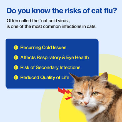 Doctor By FELYSIN L-lysine for Cats Lysine Supplements