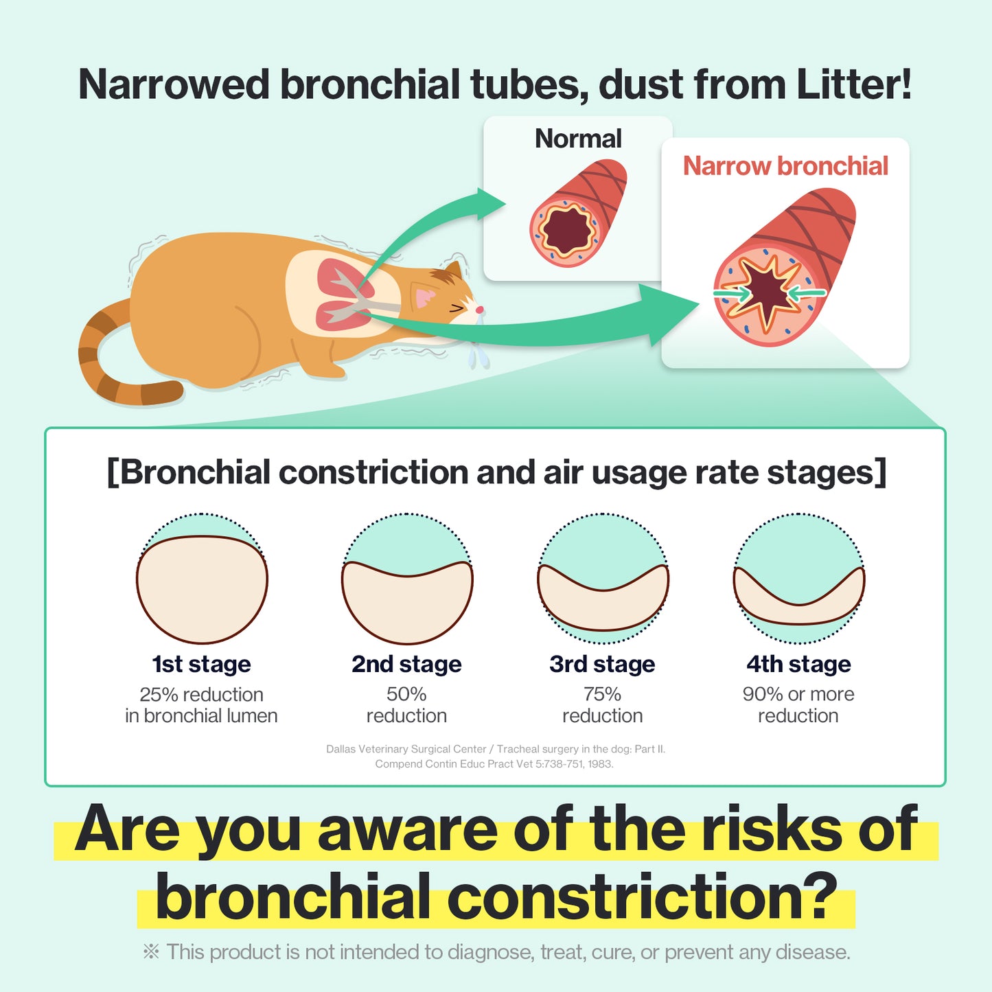 As bronchial constriction progresses in cats, air usage decreases, leading to severe respiratory issues, which can be exacerbated by environmental factors like dust.