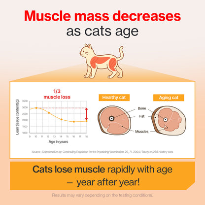 Doctor By Cat Colostrum Protein Cat Supplement Immune Support Muscle Growth