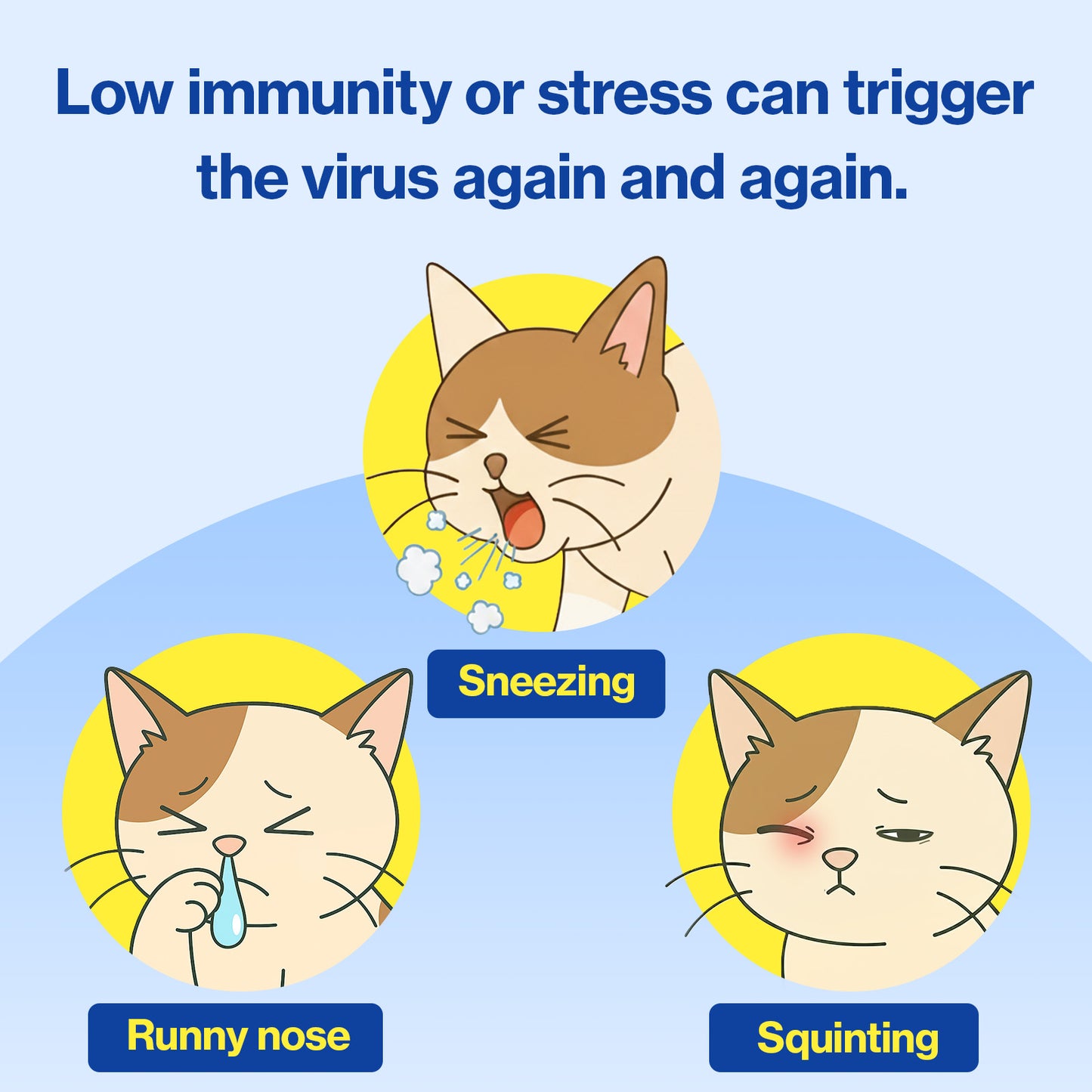 Doctor By FELYSIN L-lysine for Cats Lysine Supplements