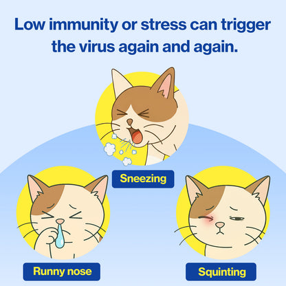 Doctor By FELYSIN L-lysine for Cats Lysine Supplements