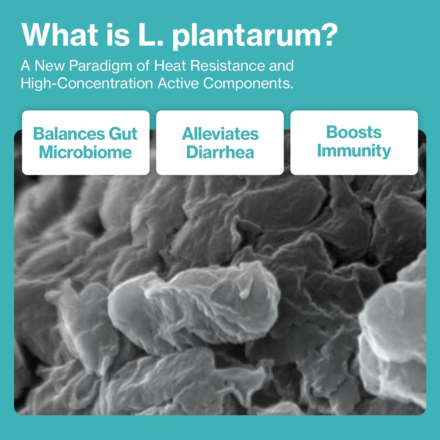 Doctor By Cat Biome Cat Probiotics - Digestive & Gut Support for Cats, Diarrhea Relief, Immunity Booster