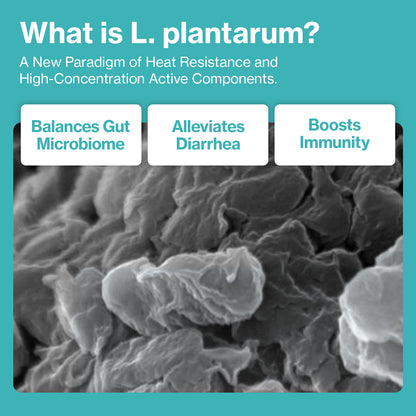 Doctor By Cat Biome Cat Probiotics - Digestive & Gut Support for Cats, Diarrhea Relief, Immunity Booster