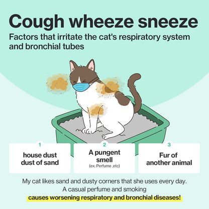 Environmental factors such as dust, strong odors, and other animals' fur can irritate a cat's respiratory system, leading to coughing, wheezing, and worsened bronchial diseases.
