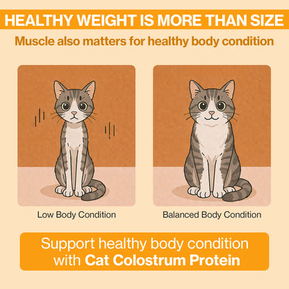 Doctor By Cat Colostrum Protein Cat Supplement Immune Support Muscle Growth