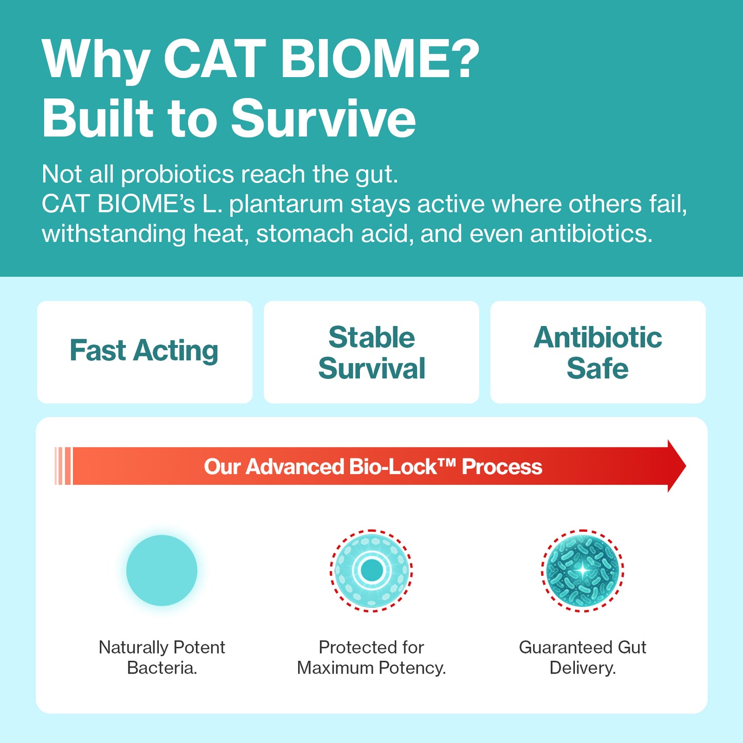 Doctor By Cat Biome Cat Probiotics - Digestive & Gut Support for Cats, Diarrhea Relief, Immunity Booster