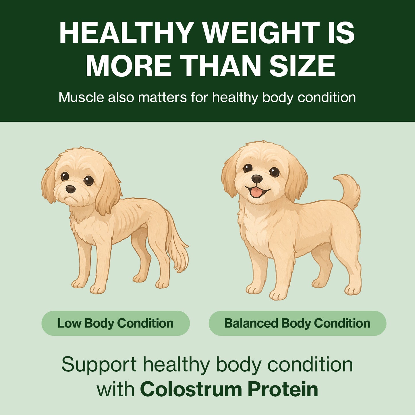 Doctor By Colostrum Protein for Dogs and Puppy