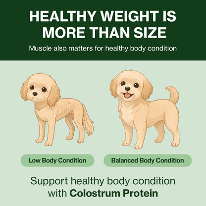Doctor By Colostrum Protein for Dogs and Puppy