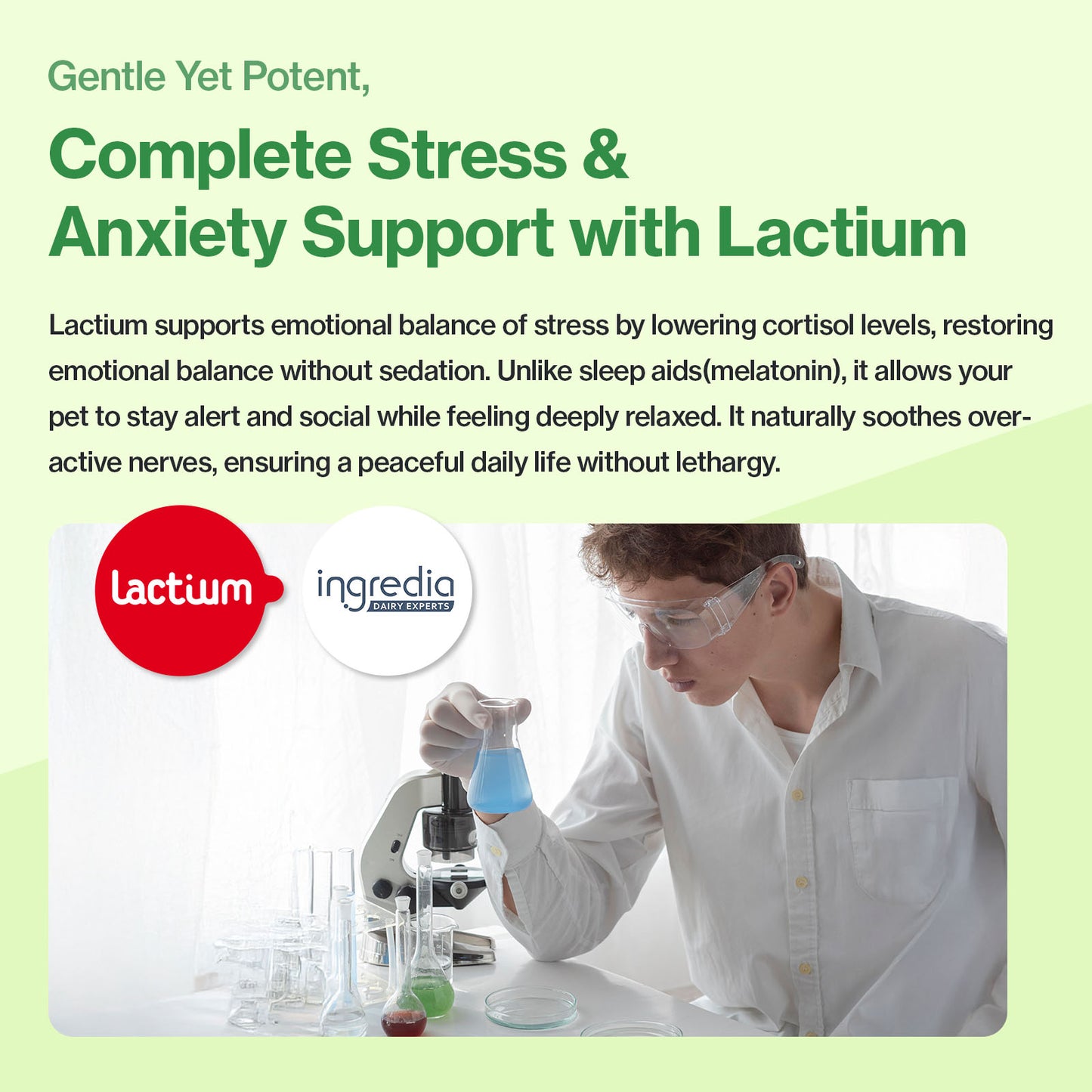 Cat Calming Stress and Anxiety Relief Supplement