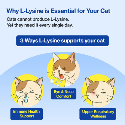 Doctor By FELYSIN L-lysine for Cats Lysine Supplements