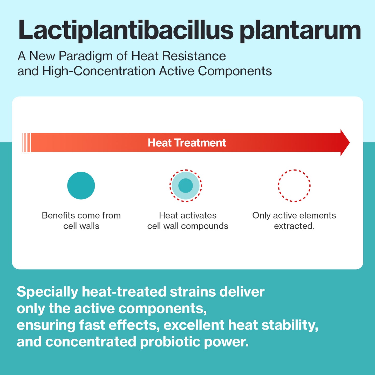 Doctor By Cat Biome Cat Probiotics - Digestive & Gut Support for Cats, Diarrhea Relief, Immunity Booster