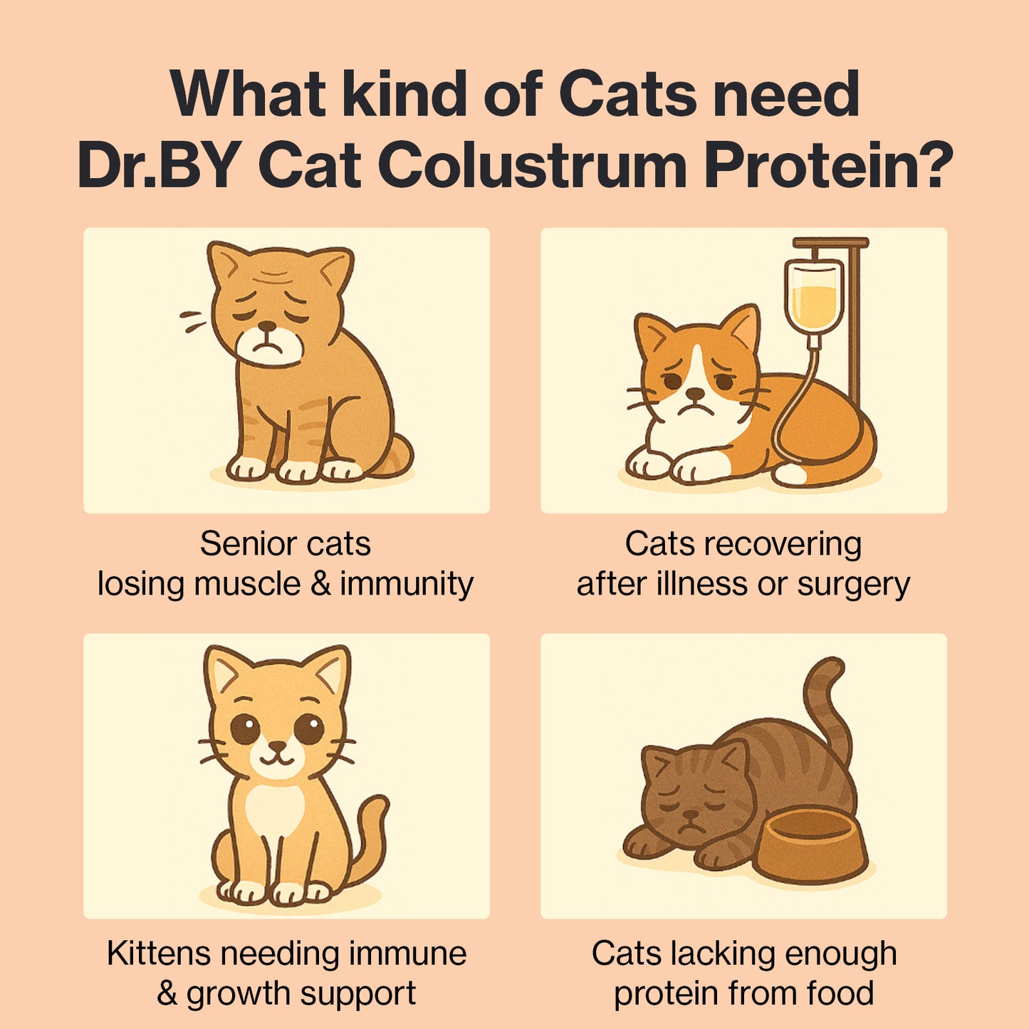 Doctor By Cat Colostrum Protein Cat Supplement Immune Support Muscle Growth