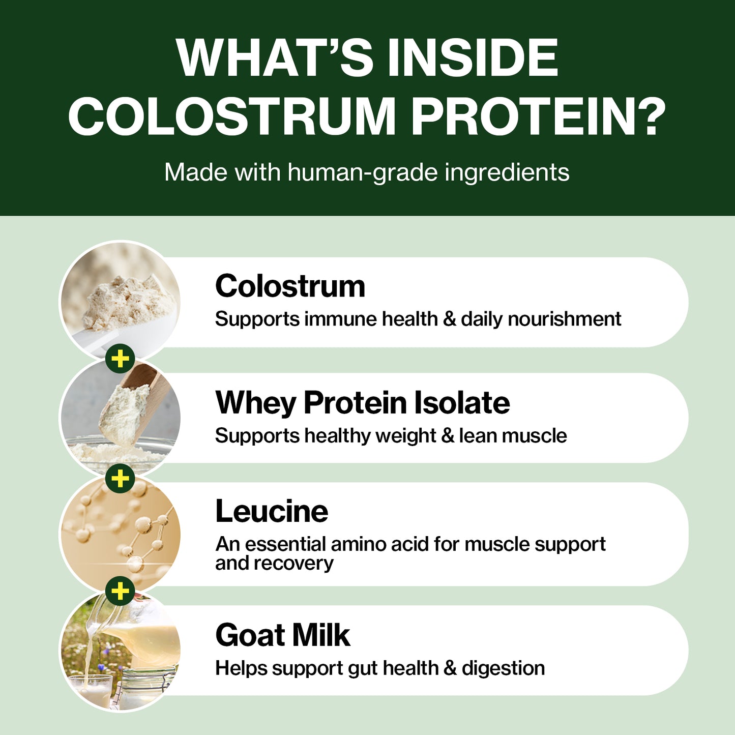 Doctor By Colostrum Protein for Dogs and Puppy