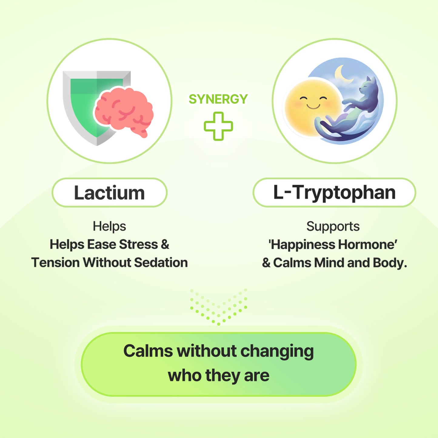 Cat Calming Stress and Anxiety Relief Supplement