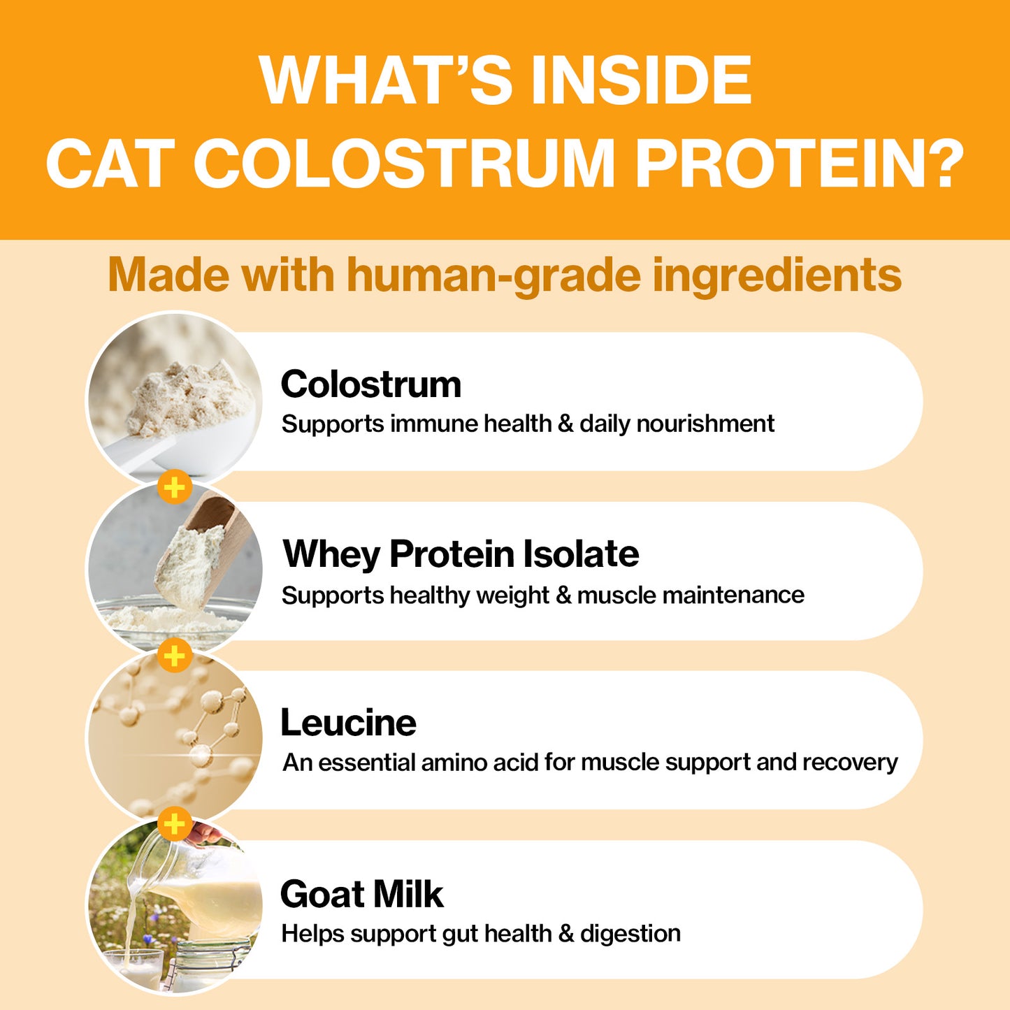 Doctor By Cat Colostrum Protein Cat Supplement Immune Support Muscle Growth