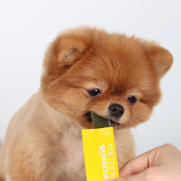Premium Gel-Type Supplement for Dog Skin & Coat Health