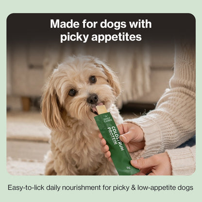 Doctor By Colostrum Protein for Dogs and Puppy