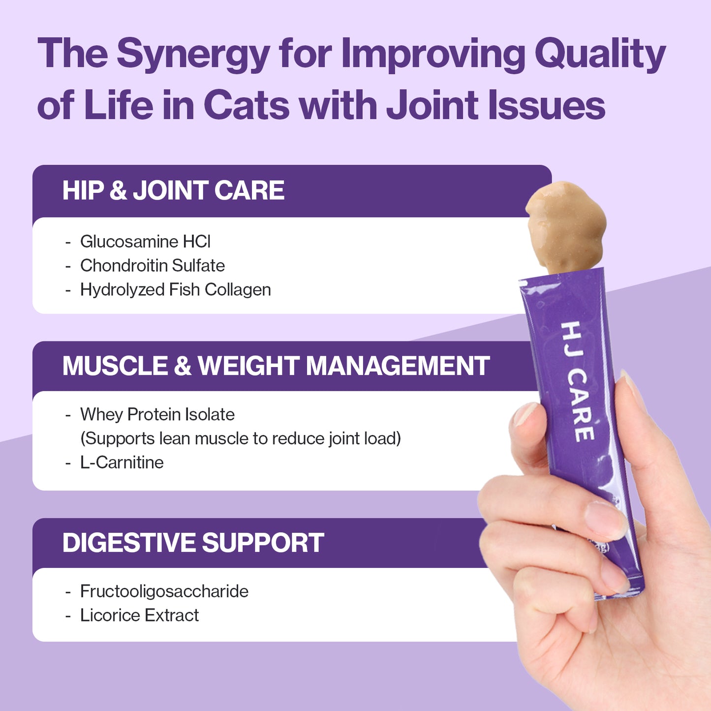 Doctor By HJ Care Cat Joint Supplement Hip&Joint Care Glucosamine for Cats
