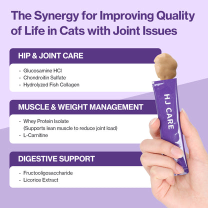 Doctor By HJ Care Cat Joint Supplement Hip&Joint Care Glucosamine for Cats