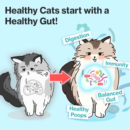 Doctor By Cat Biome Cat Probiotics - Digestive & Gut Support for Cats, Diarrhea Relief, Immunity Booster