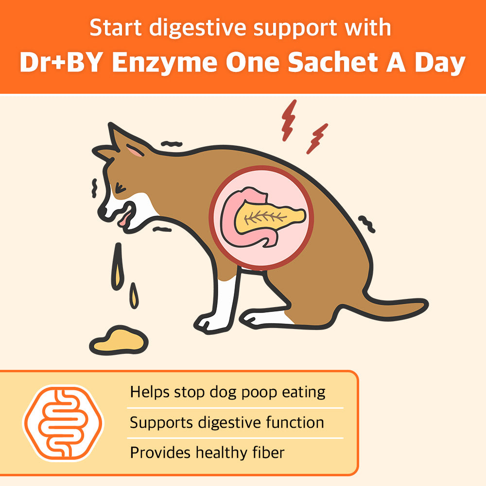 Dr.BY Enzyme supplement supports dog digestion, prevents coprophagia (poop eating), and provides essential fiber for a healthy gut and pancreas function.