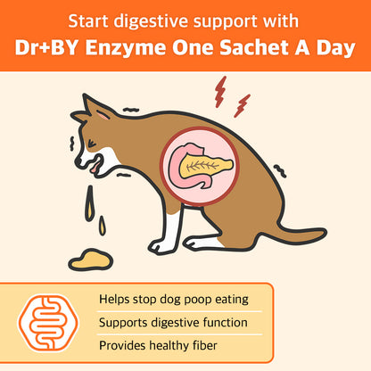 Dr.BY Enzyme supplement supports dog digestion, prevents coprophagia (poop eating), and provides essential fiber for a healthy gut and pancreas function.