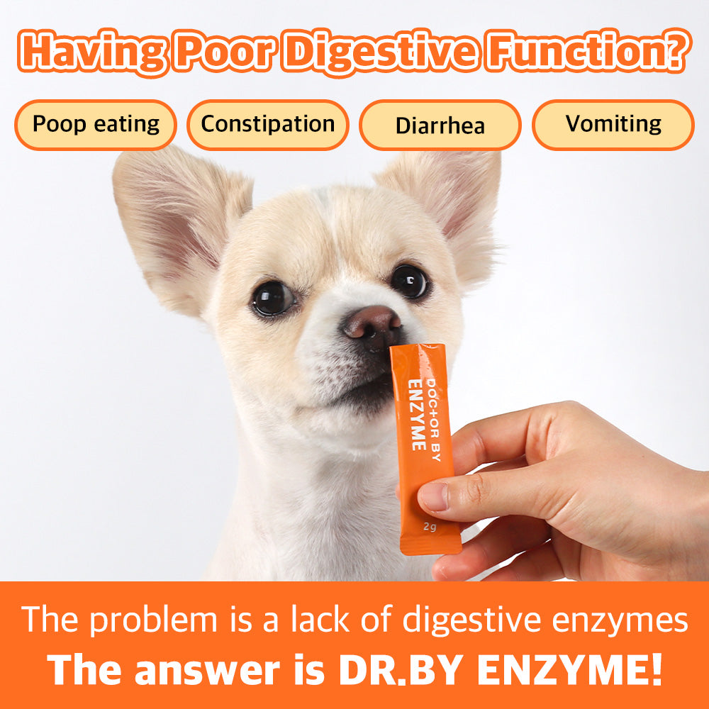 Dr.BY Enzyme supplement improves dog digestion, preventing poop eating, constipation, diarrhea, and vomiting by supplying essential digestive enzymes.