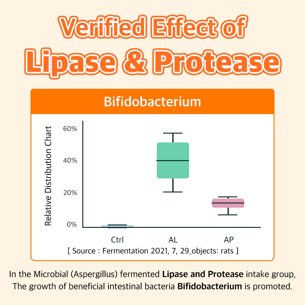 The study confirms that microbial fermented lipase and protease promote the growth of beneficial intestinal bacteria Bifidobacterium, supporting gut health and digestion.