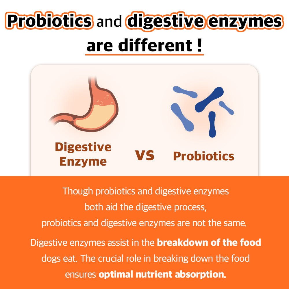 Probiotics vs. Digestive Enzymes: While both support digestion, digestive enzymes break down food for optimal nutrient absorption, whereas probiotics aid gut health, making them essential yet distinct supplements for dogs.